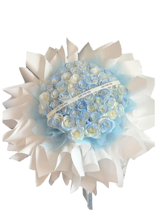 Skyline Dreams（HB 76）